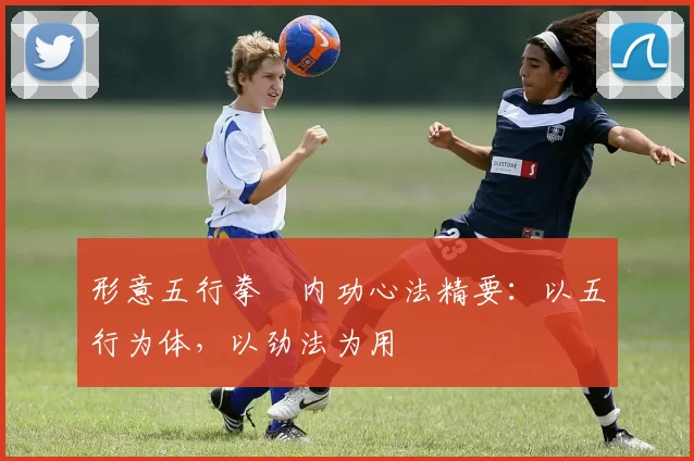 形意五行拳・内功心法精要：以五行为体，以劲法为用