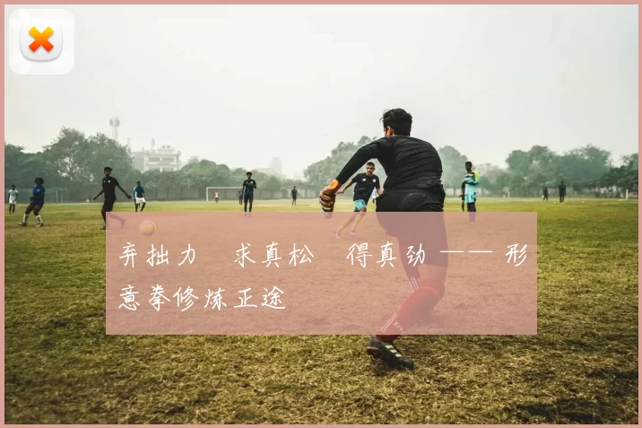 弃拙力・求真松・得真劲 —— 形意拳修炼正途