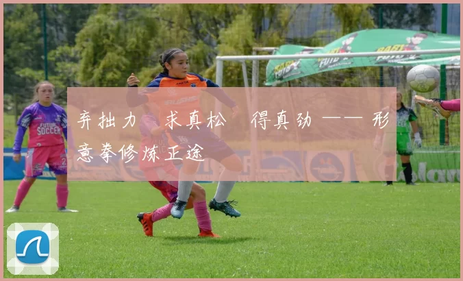 弃拙力・求真松・得真劲 —— 形意拳修炼正途