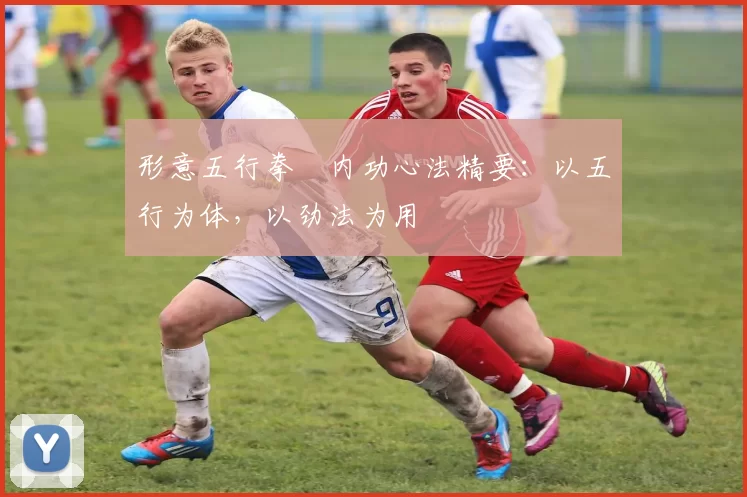 形意五行拳・内功心法精要：以五行为体，以劲法为用