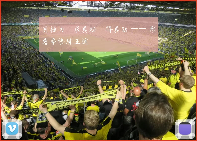 弃拙力・求真松・得真劲 —— 形意拳修炼正途