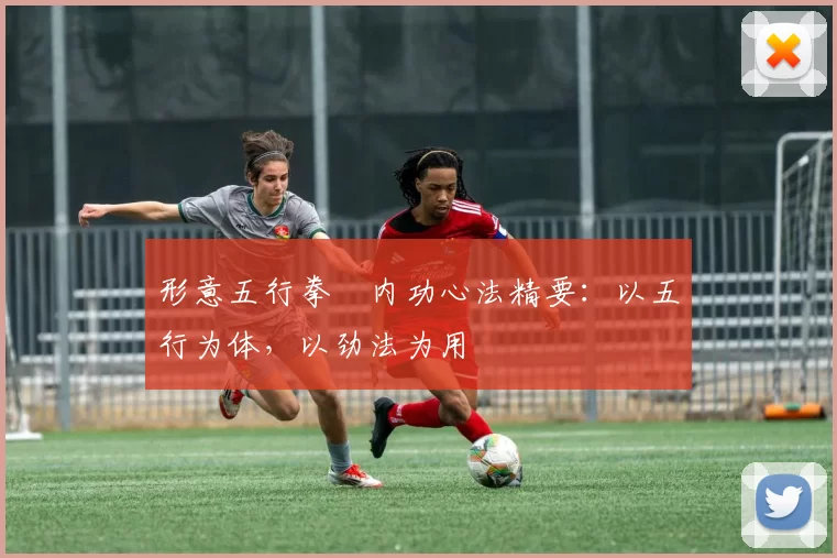 形意五行拳・内功心法精要：以五行为体，以劲法为用