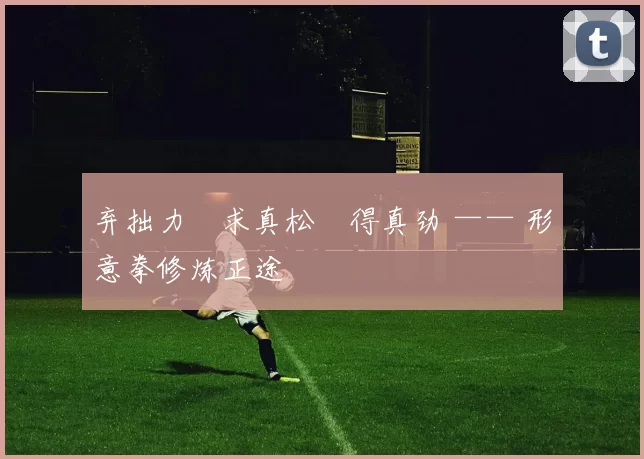 弃拙力・求真松・得真劲 —— 形意拳修炼正途