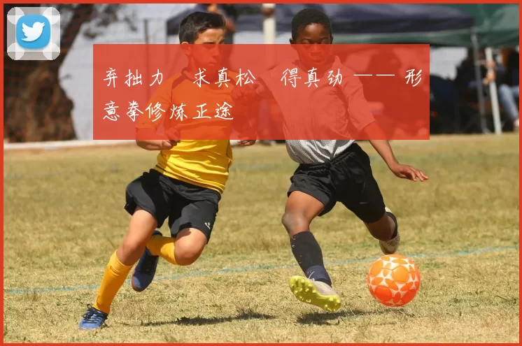 弃拙力・求真松・得真劲 —— 形意拳修炼正途