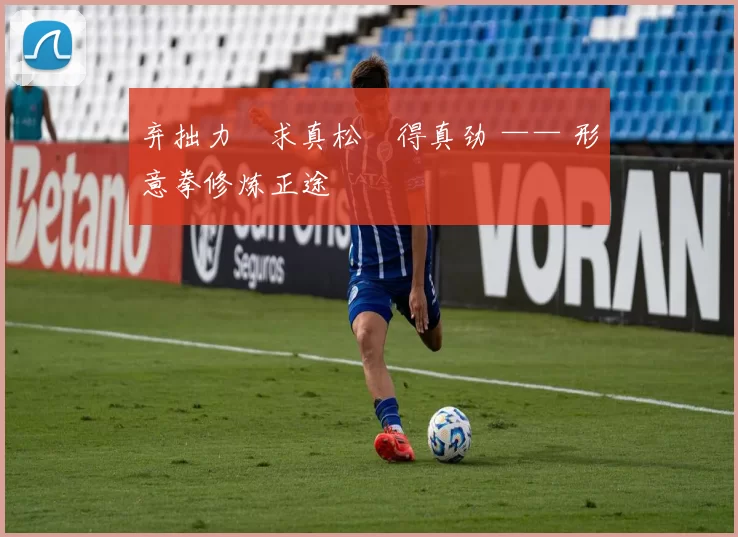 弃拙力・求真松・得真劲 —— 形意拳修炼正途