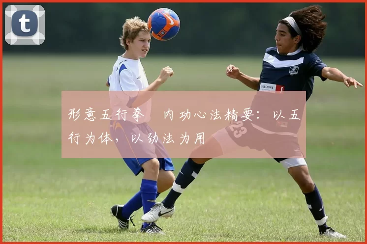 形意五行拳・内功心法精要：以五行为体，以劲法为用