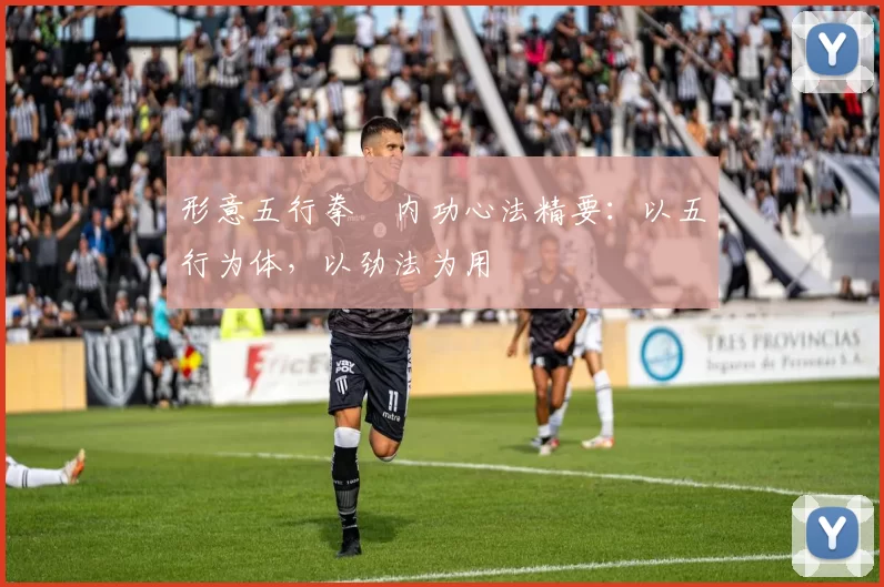 形意五行拳・内功心法精要：以五行为体，以劲法为用