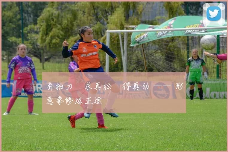 弃拙力・求真松・得真劲 —— 形意拳修炼正途