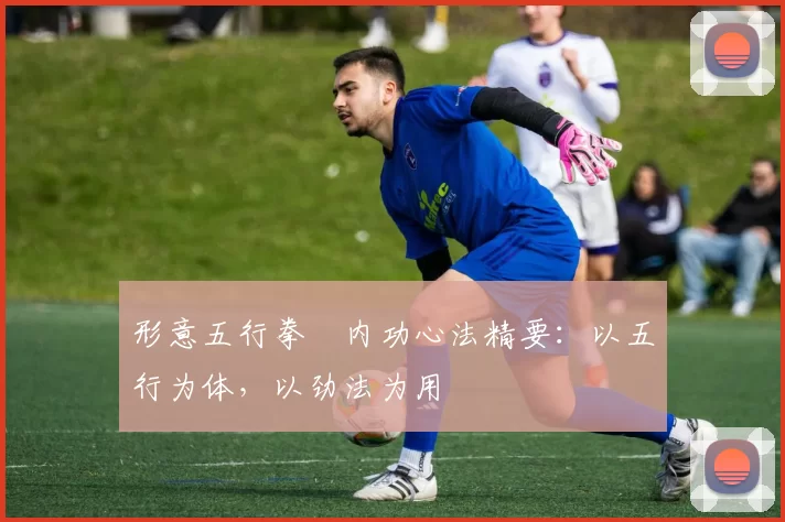 形意五行拳・内功心法精要:以五行为体,以劲法为用