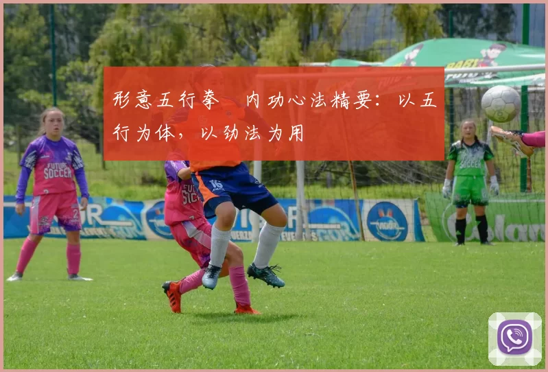 形意五行拳・内功心法精要:以五行为体,以劲法为用