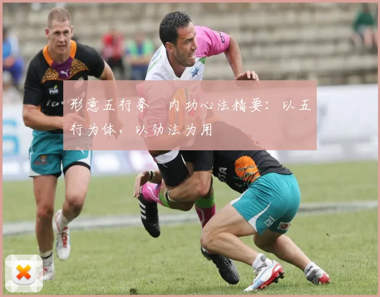 形意五行拳・内功心法精要：以五行为体，以劲法为用