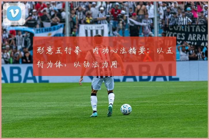 形意五行拳・内功心法精要：以五行为体，以劲法为用