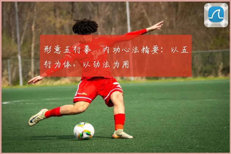 形意五行拳・内功心法精要:以五行为体,以劲法为用