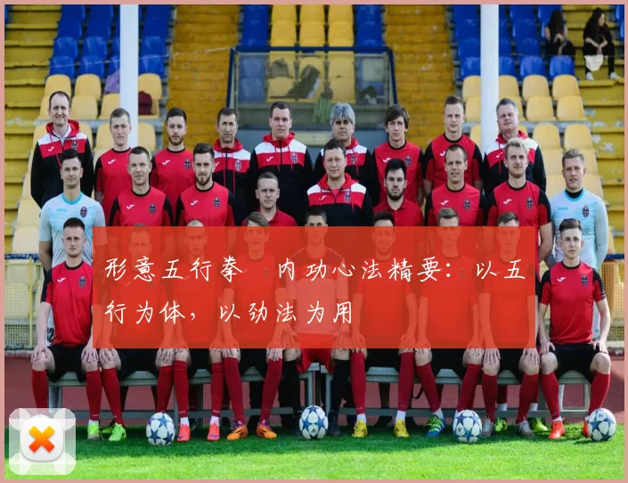 形意五行拳・内功心法精要：以五行为体，以劲法为用