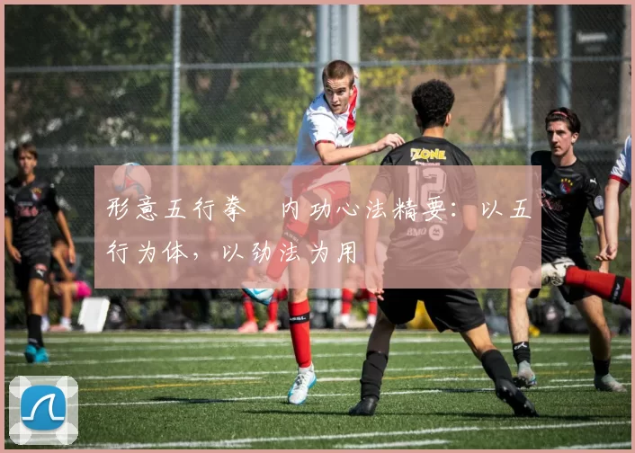 形意五行拳・内功心法精要:以五行为体,以劲法为用