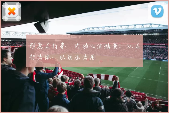 形意五行拳・内功心法精要:以五行为体,以劲法为用