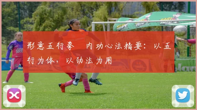 形意五行拳・内功心法精要：以五行为体，以劲法为用