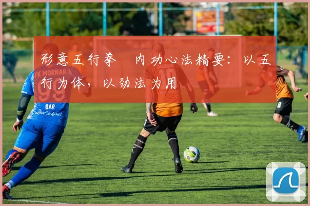 形意五行拳・内功心法精要:以五行为体,以劲法为用