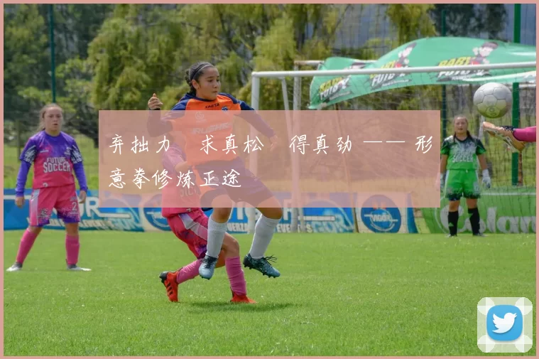 弃拙力・求真松・得真劲 —— 形意拳修炼正途