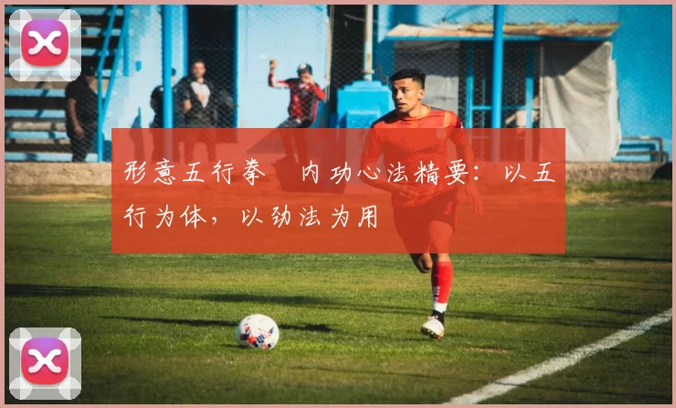 形意五行拳・内功心法精要：以五行为体，以劲法为用