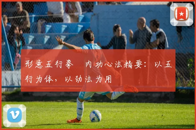 形意五行拳・内功心法精要:以五行为体,以劲法为用