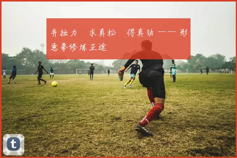 弃拙力・求真松・得真劲 —— 形意拳修炼正途