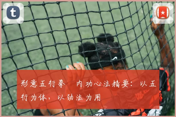 形意五行拳・内功心法精要：以五行为体，以劲法为用