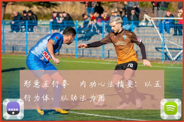 形意五行拳・内功心法精要：以五行为体，以劲法为用