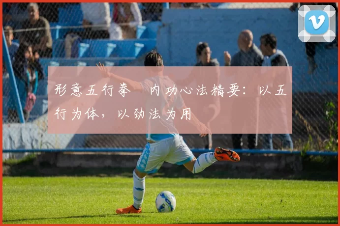形意五行拳・内功心法精要：以五行为体，以劲法为用