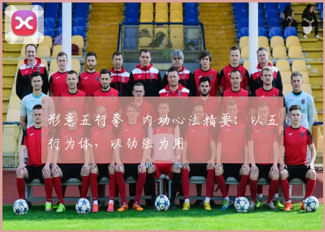 形意五行拳・内功心法精要:以五行为体,以劲法为用