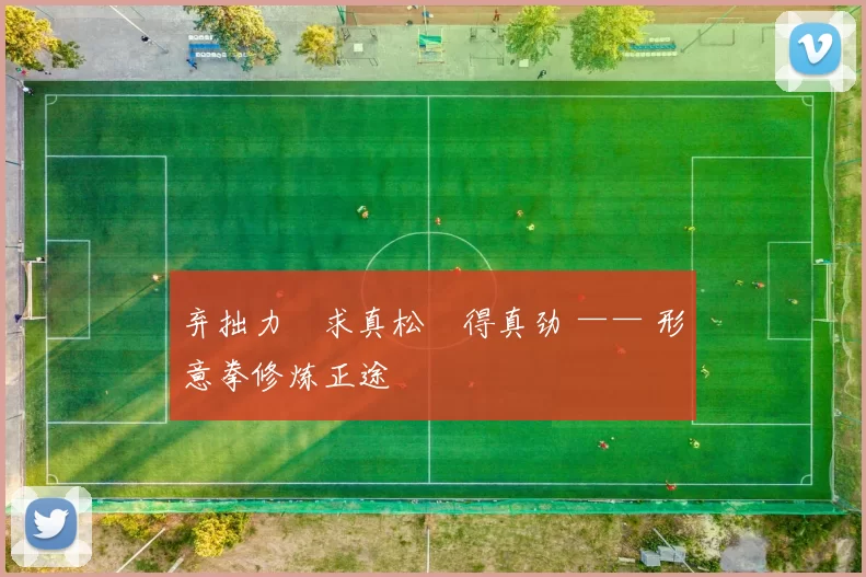 弃拙力・求真松・得真劲 —— 形意拳修炼正途