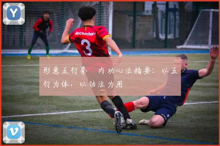 形意五行拳・内功心法精要：以五行为体，以劲法为用