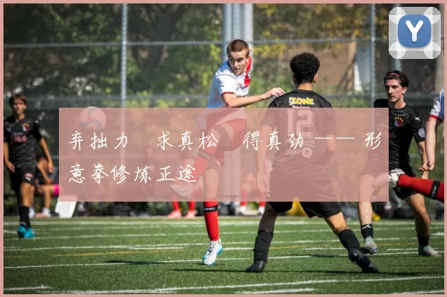 弃拙力・求真松・得真劲 —— 形意拳修炼正途