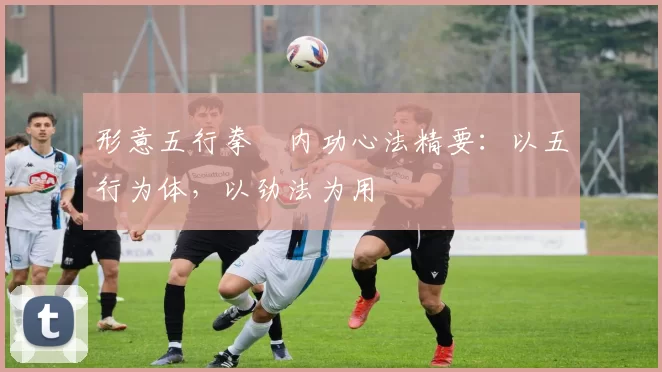 形意五行拳・内功心法精要:以五行为体,以劲法为用