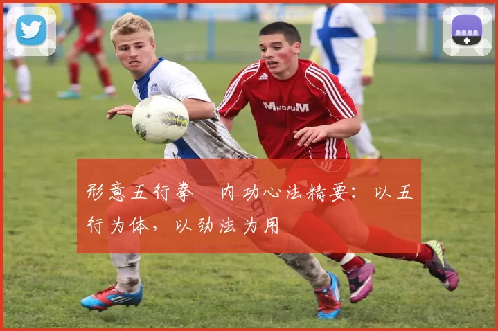 形意五行拳・内功心法精要:以五行为体,以劲法为用