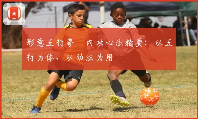 形意五行拳・内功心法精要：以五行为体，以劲法为用