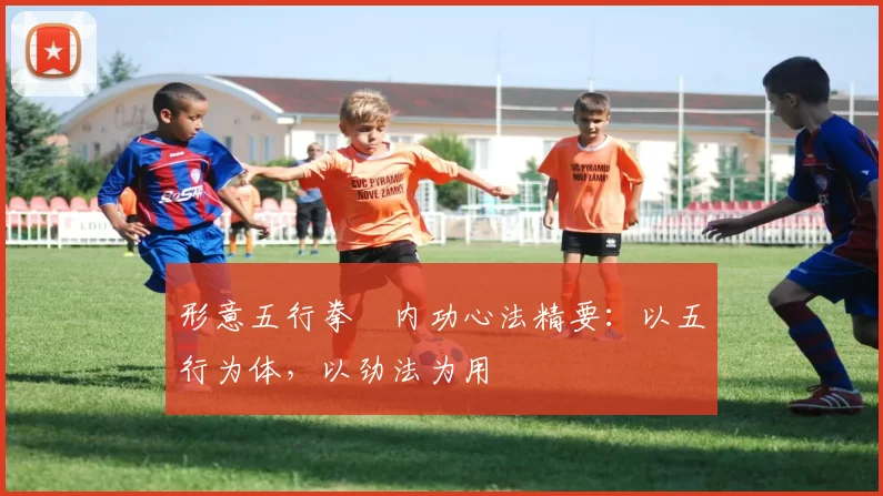 形意五行拳・内功心法精要：以五行为体，以劲法为用