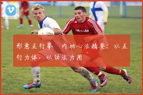 形意五行拳・内功心法精要：以五行为体，以劲法为用