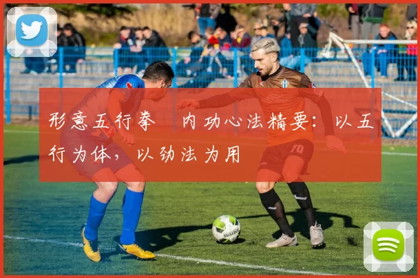 形意五行拳・内功心法精要:以五行为体,以劲法为用