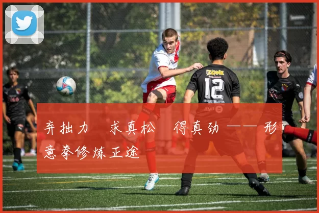 弃拙力・求真松・得真劲 —— 形意拳修炼正途