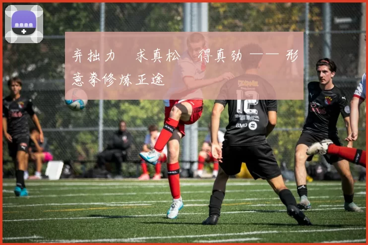 弃拙力・求真松・得真劲 —— 形意拳修炼正途
