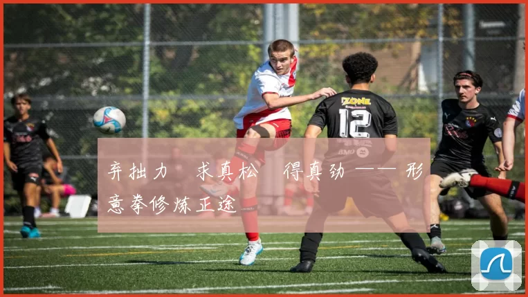 弃拙力・求真松・得真劲 —— 形意拳修炼正途