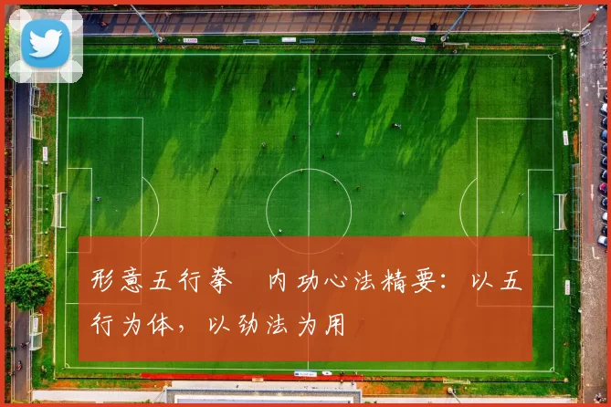 形意五行拳・内功心法精要:以五行为体,以劲法为用
