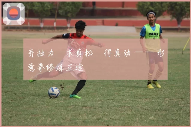 弃拙力・求真松・得真劲 —— 形意拳修炼正途