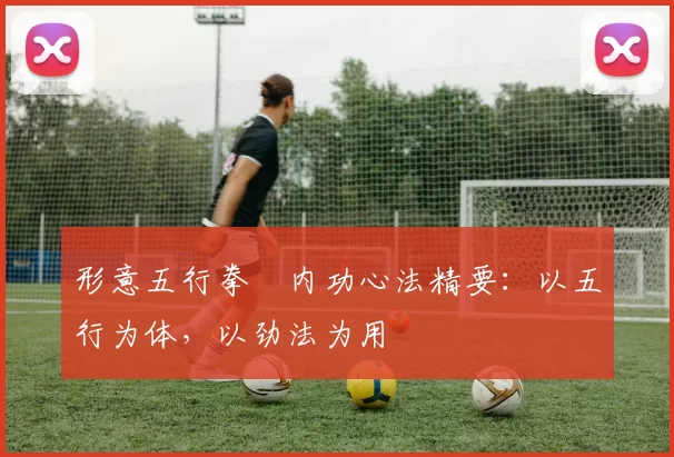 形意五行拳・内功心法精要:以五行为体,以劲法为用
