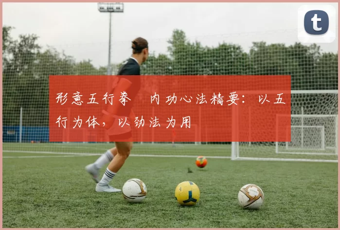 形意五行拳・内功心法精要：以五行为体，以劲法为用