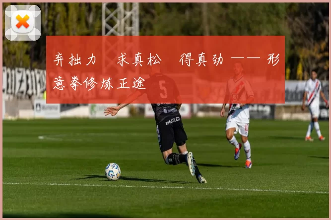 弃拙力・求真松・得真劲 —— 形意拳修炼正途