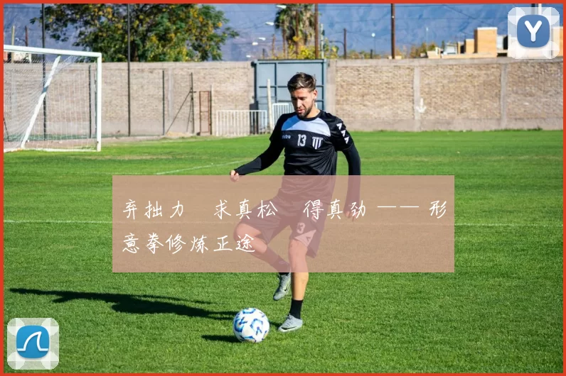 弃拙力・求真松・得真劲 —— 形意拳修炼正途