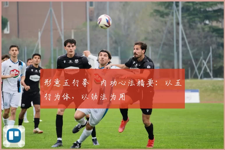 形意五行拳・内功心法精要:以五行为体,以劲法为用