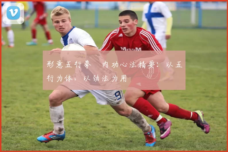 形意五行拳・内功心法精要：以五行为体，以劲法为用